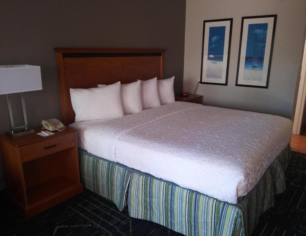 Surestay Plus Hotel By Best Western Clearwater Central Esterno foto